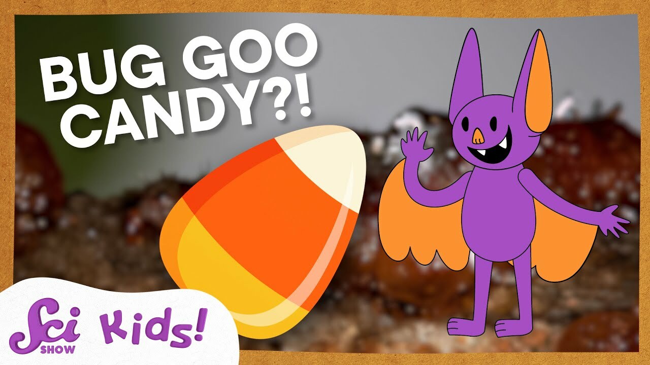 A Halloween Candy That Comes From Bones and Bugs! | SciShow Kids